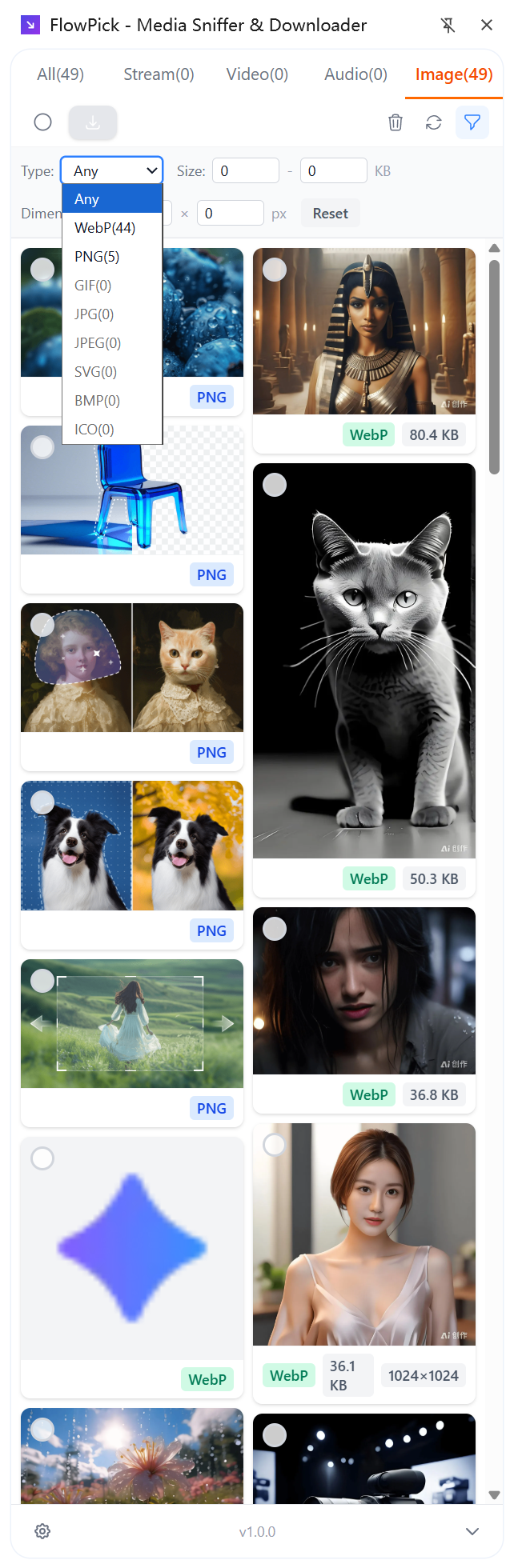 Image Downloader